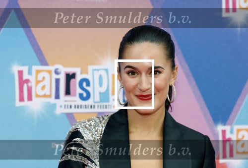Rotterdam 12 oktober 2025
Premiere Hairspray in het oude Luxor in Rotterdam. Esmee Dekker