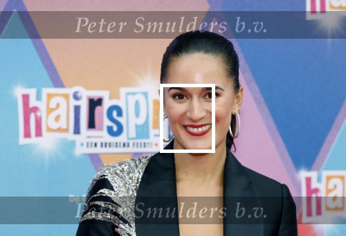 Rotterdam 12 oktober 2025
Premiere Hairspray in het oude Luxor in Rotterdam. Esmee Dekker