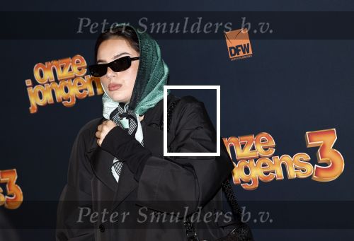Amsterdam 6 oktober 2025
Premiere de Jongens 3 in Tuschinski. famke Louise