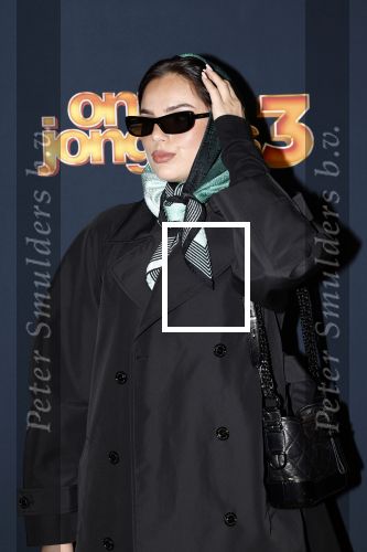 Amsterdam 6 oktober 2025
Premiere de Jongens 3 in Tuschinski. famke Louise