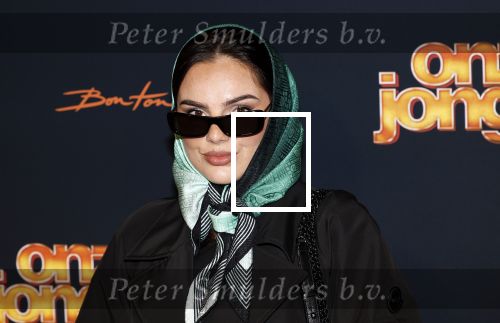 Amsterdam 6 oktober 2025
Premiere de Jongens 3 in Tuschinski. famke Louise