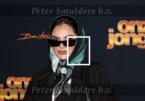 Amsterdam 6 oktober 2025
Premiere de Jongens 3 in Tuschinski. famke Louise