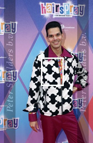 Rotterdam 12 oktober 2025
Premiere Hairspray in het oude Luxor in Rotterdam. Glenn Eilbracht