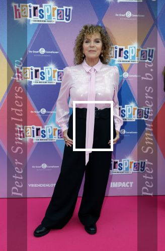 Rotterdam 12 oktober 2025
Premiere Hairspray in het oude Luxor in Rotterdam. Henriette Tol met partner