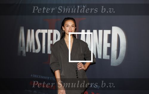 Amsterdam 7 oktober 2025
Soort van voor premiere Amsterdamned II in tuschinski met Huub Stapel Tatum Dagelet Holly Brood en Dick Maas.