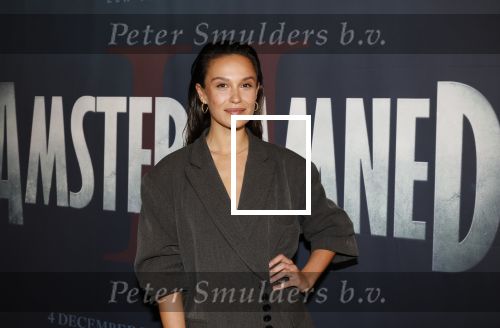 Amsterdam 7 oktober 2025
Soort van voor premiere Amsterdamned II in tuschinski met Huub Stapel Tatum Dagelet Holly Brood en Dick Maas.