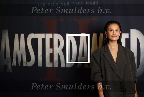Amsterdam 7 oktober 2025
Soort van voor premiere Amsterdamned II in tuschinski met Huub Stapel Tatum Dagelet Holly Brood en Dick Maas.