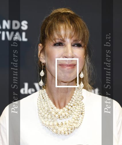 Utrecht 3 oktober 2025
Uitreiking gouden kalveren op het Nederlands film festival. Isa Hoes