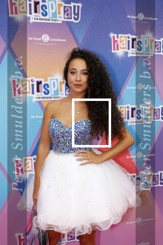 Rotterdam 12 oktober 2025
Premiere Hairspray in het oude Luxor in Rotterdam. Jill Tjin