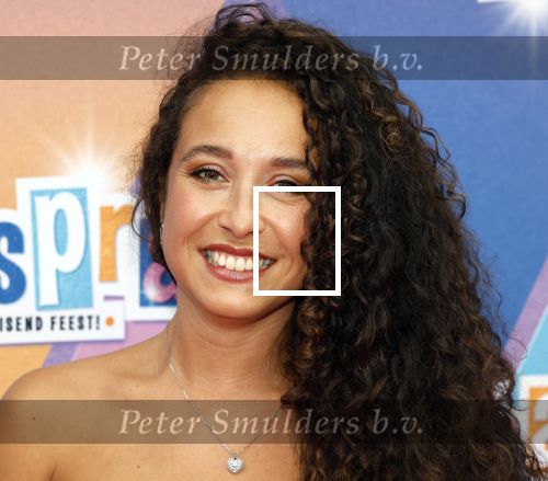 Rotterdam 12 oktober 2025
Premiere Hairspray in het oude Luxor in Rotterdam. Jill Tjin