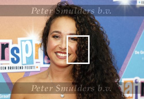 Rotterdam 12 oktober 2025
Premiere Hairspray in het oude Luxor in Rotterdam. Jill Tjin