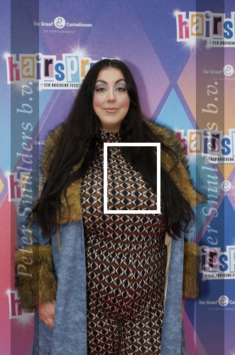 Rotterdam 12 oktober 2025
Premiere Hairspray in het oude Luxor in Rotterdam. Joan Franka