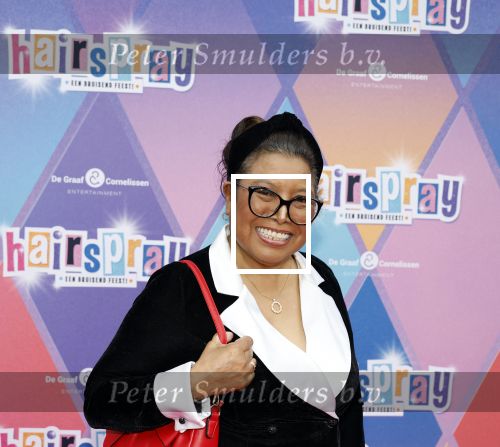 Rotterdam 12 oktober 2025
Premiere Hairspray in het oude Luxor in Rotterdam. Justine Pelmelay kwam met een vriend