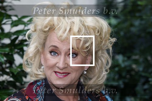 Amsterdam 6 oktober 2025
Uitreiking strong women awards in hotel the Grand . Karin Bloemen