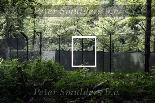 Lage Vuursche 28 juli 2023
Palijs Drakensteyn van prinss Beatrix . De poort is geschilderd en in de tuin staan hekken met donkee doeken voor privacy . Naast het landgoed is een stuk bouwgrond te koop.
