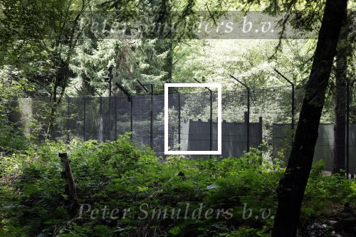 Lage Vuursche 28 juli 2023
Palijs Drakensteyn van prinss Beatrix . De poort is geschilderd en in de tuin staan hekken met donkee doeken voor privacy . Naast het landgoed is een stuk bouwgrond te koop.