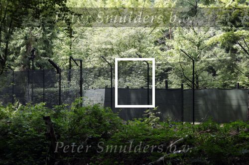 Lage Vuursche 28 juli 2023
Palijs Drakensteyn van prinss Beatrix . De poort is geschilderd en in de tuin staan hekken met donkee doeken voor privacy . Naast het landgoed is een stuk bouwgrond te koop.
