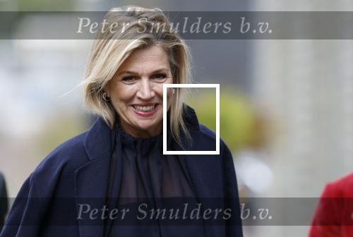 Utrecht 8 oktober 2025
Hare Majesteit Koningin Maxima, erevoorzitter van stichting MIND Us, lanceerde vandaag het digitale platform In je bol in Utrecht