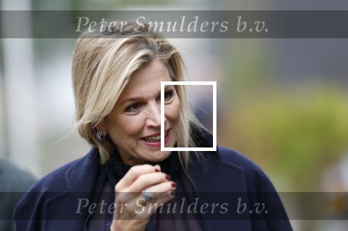 Utrecht 8 oktober 2025
Hare Majesteit Koningin Maxima, erevoorzitter van stichting MIND Us, lanceerde vandaag het digitale platform In je bol in Utrecht