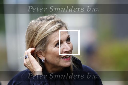 Utrecht 8 oktober 2025
Hare Majesteit Koningin Maxima, erevoorzitter van stichting MIND Us, lanceerde vandaag het digitale platform In je bol in Utrecht