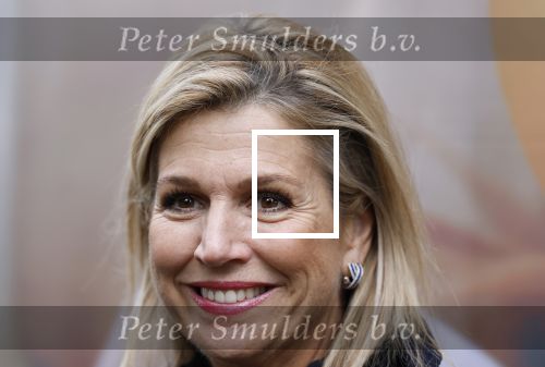 Utrecht 8 oktober 2025
Hare Majesteit Koningin Maxima, erevoorzitter van stichting MIND Us, lanceerde vandaag het digitale platform In je bol in Utrecht