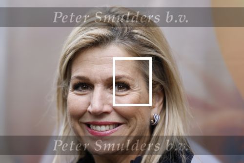 Utrecht 8 oktober 2025
Hare Majesteit Koningin Maxima, erevoorzitter van stichting MIND Us, lanceerde vandaag het digitale platform In je bol in Utrecht