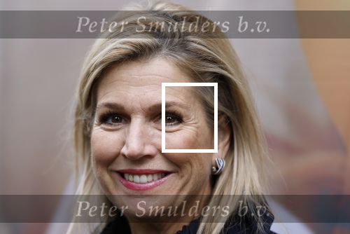 Utrecht 8 oktober 2025
Hare Majesteit Koningin Maxima, erevoorzitter van stichting MIND Us, lanceerde vandaag het digitale platform In je bol in Utrecht