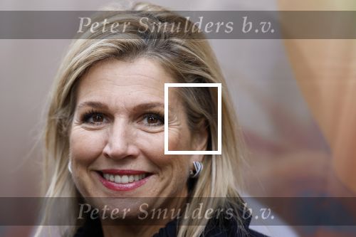 Utrecht 8 oktober 2025
Hare Majesteit Koningin Maxima, erevoorzitter van stichting MIND Us, lanceerde vandaag het digitale platform In je bol in Utrecht