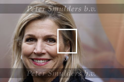 Utrecht 8 oktober 2025
Hare Majesteit Koningin Maxima, erevoorzitter van stichting MIND Us, lanceerde vandaag het digitale platform In je bol in Utrecht