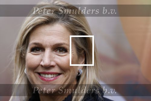 Utrecht 8 oktober 2025
Hare Majesteit Koningin Maxima, erevoorzitter van stichting MIND Us, lanceerde vandaag het digitale platform In je bol in Utrecht