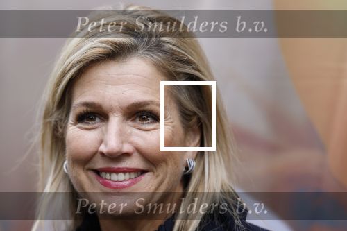 Utrecht 8 oktober 2025
Hare Majesteit Koningin Maxima, erevoorzitter van stichting MIND Us, lanceerde vandaag het digitale platform In je bol in Utrecht