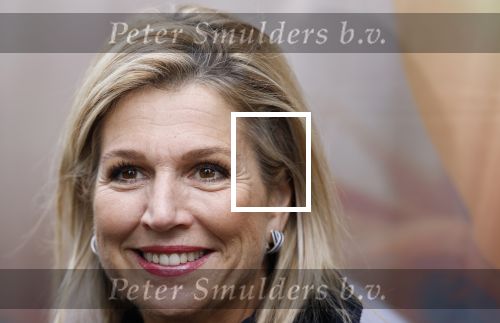 Utrecht 8 oktober 2025
Hare Majesteit Koningin Maxima, erevoorzitter van stichting MIND Us, lanceerde vandaag het digitale platform In je bol in Utrecht