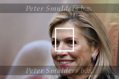 Utrecht 8 oktober 2025
Hare Majesteit Koningin Maxima, erevoorzitter van stichting MIND Us, lanceerde vandaag het digitale platform In je bol in Utrecht