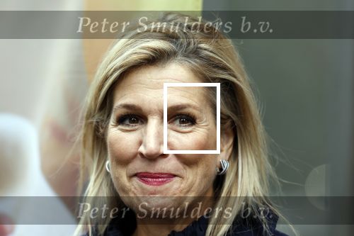 Utrecht 8 oktober 2025
Hare Majesteit Koningin Maxima, erevoorzitter van stichting MIND Us, lanceerde vandaag het digitale platform In je bol in Utrecht
