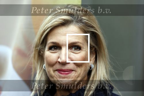 Utrecht 8 oktober 2025
Hare Majesteit Koningin Maxima, erevoorzitter van stichting MIND Us, lanceerde vandaag het digitale platform In je bol in Utrecht