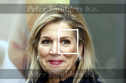 Utrecht 8 oktober 2025
Hare Majesteit Koningin Maxima, erevoorzitter van stichting MIND Us, lanceerde vandaag het digitale platform In je bol in Utrecht