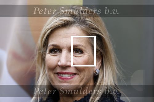 Utrecht 8 oktober 2025
Hare Majesteit Koningin Maxima, erevoorzitter van stichting MIND Us, lanceerde vandaag het digitale platform In je bol in Utrecht