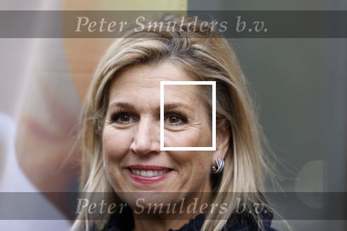 Utrecht 8 oktober 2025
Hare Majesteit Koningin Maxima, erevoorzitter van stichting MIND Us, lanceerde vandaag het digitale platform In je bol in Utrecht