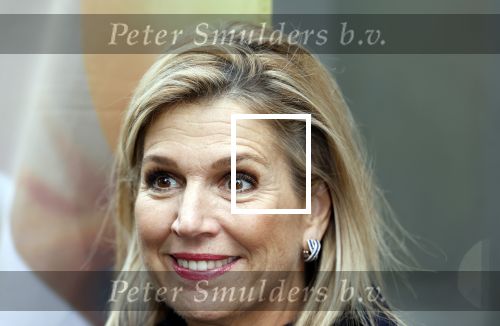 Utrecht 8 oktober 2025
Hare Majesteit Koningin Maxima, erevoorzitter van stichting MIND Us, lanceerde vandaag het digitale platform In je bol in Utrecht