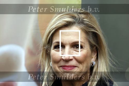Utrecht 8 oktober 2025
Hare Majesteit Koningin Maxima, erevoorzitter van stichting MIND Us, lanceerde vandaag het digitale platform In je bol in Utrecht