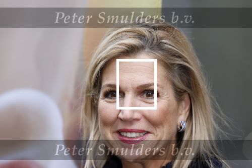 Utrecht 8 oktober 2025
Hare Majesteit Koningin Maxima, erevoorzitter van stichting MIND Us, lanceerde vandaag het digitale platform In je bol in Utrecht