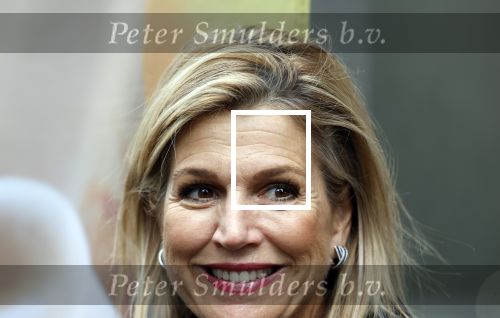 Utrecht 8 oktober 2025
Hare Majesteit Koningin Maxima, erevoorzitter van stichting MIND Us, lanceerde vandaag het digitale platform In je bol in Utrecht
