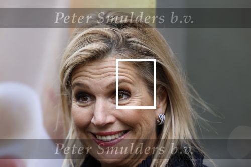 Utrecht 8 oktober 2025
Hare Majesteit Koningin Maxima, erevoorzitter van stichting MIND Us, lanceerde vandaag het digitale platform In je bol in Utrecht