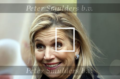 Utrecht 8 oktober 2025
Hare Majesteit Koningin Maxima, erevoorzitter van stichting MIND Us, lanceerde vandaag het digitale platform In je bol in Utrecht