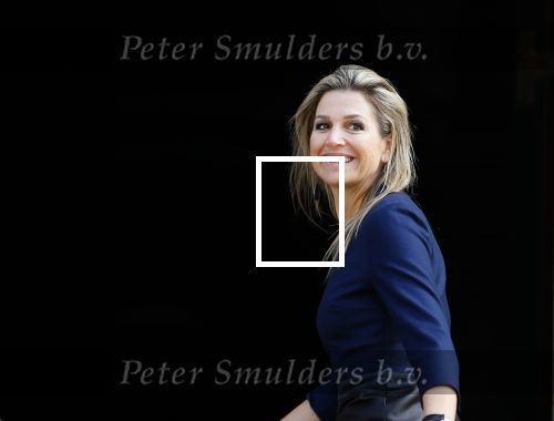 Amsterdam 23 april 2015  
Koning Willem Alexander viert zijn verjaardag in Paleis op de Dam.
Koning Maxima