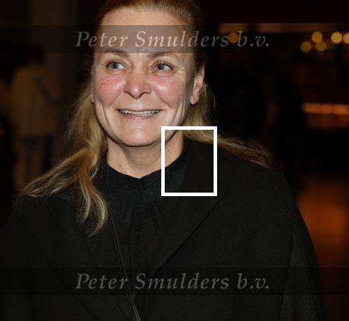 Rotterdam 1 oktober 2025
Premiere nieuwe theatershow Andre Hazes in het nieuwe Luxor. Marieke v Beek