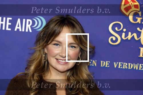 Amsterdam 5 oktober 2025
Premiere sinterklaas film in Pathe Noord. Maxime Meiland