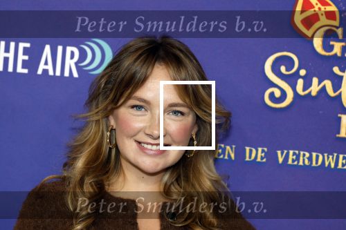 Amsterdam 5 oktober 2025
Premiere sinterklaas film in Pathe Noord. Maxime Meiland