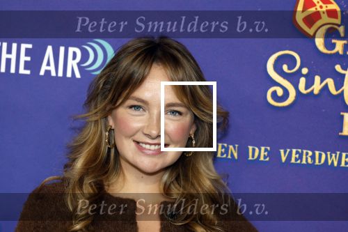 Amsterdam 5 oktober 2025
Premiere sinterklaas film in Pathe Noord. Maxime Meiland