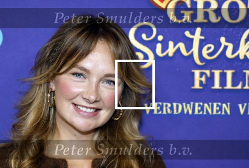 Amsterdam 5 oktober 2025
Premiere sinterklaas film in Pathe Noord. Maxime Meiland